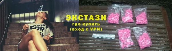 гашик Алексин