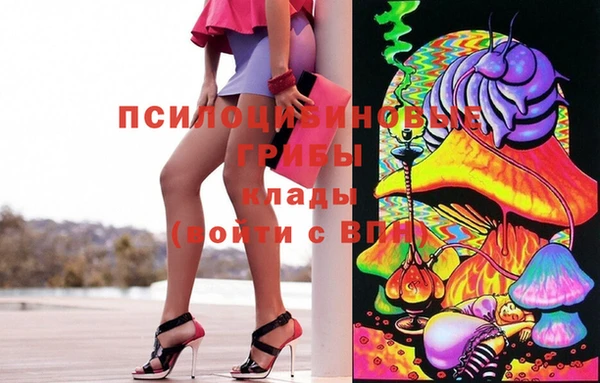 СК Алзамай
