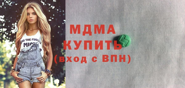 гашик Алексин
