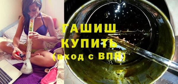 гашик Алексин