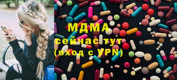 гашик Алексин