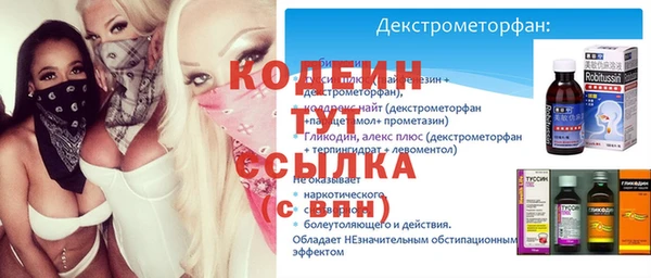 гашик Алексин