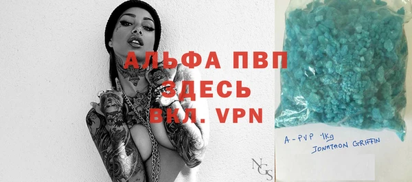 гашик Алексин