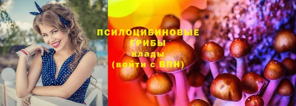 СК Алзамай